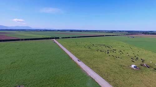 新西兰奶业的未来