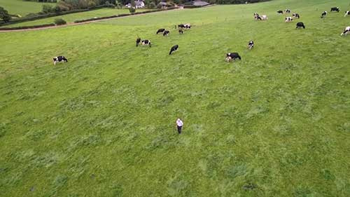 爱尔兰乳业的未来