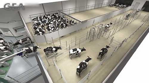 新型挤奶系统防污染