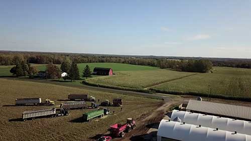 奶牛饲养和育种工作