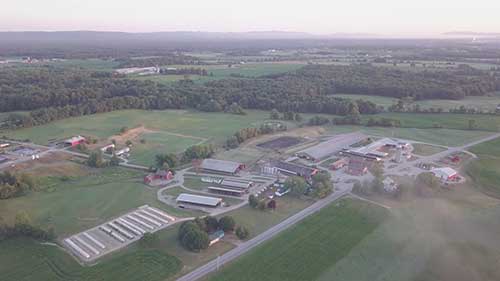 高质量的荷斯坦牛奶