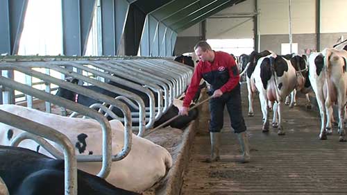 Lely公司A4挤奶机器人