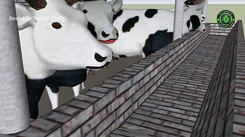 牛鸡农场一体化