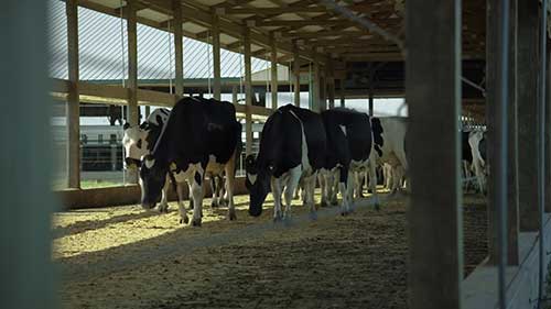 科学养殖和环境