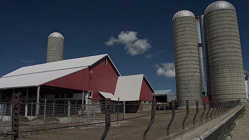 乳制品业务的精简管理