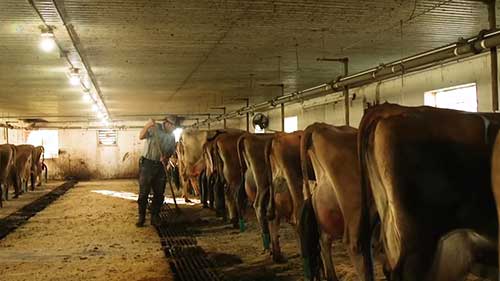 威斯康星州乳制品行业状况