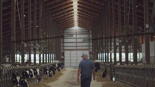 威斯康星州的奶农