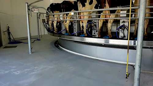 奶牛场的新设备