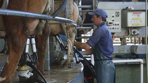 乳腺炎快速测试