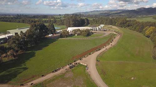 奶牛的喂养策略