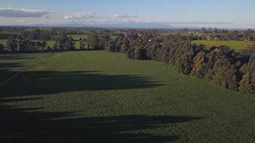 用草料提升牲畜质量