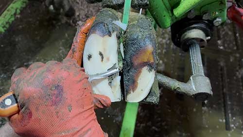 牛蹄的正确修剪方法