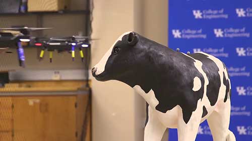 用无人机来监测奶牛