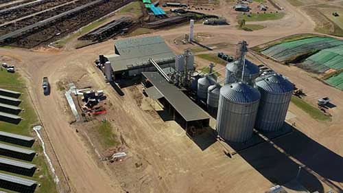 牲畜福利和环境可持续性