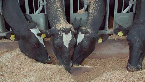 农业抗生素数据库