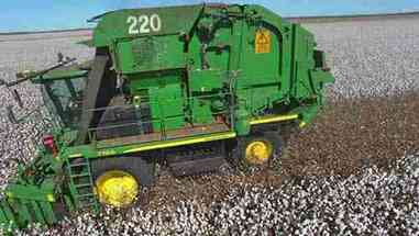 2016年澳大利亚棉花收成情况