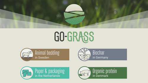 动物饲料的绿色革命