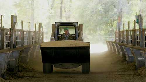 什么是饲料转化率