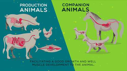 一种饲料添加剂，益生元