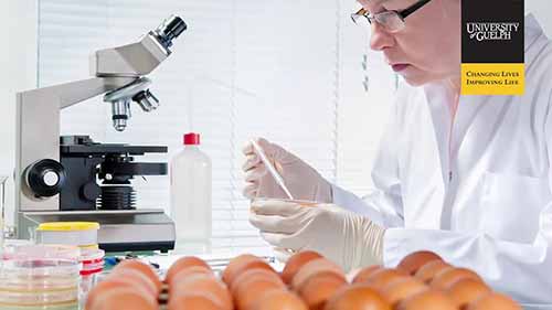 圭尔夫大学食品安全与质量保证