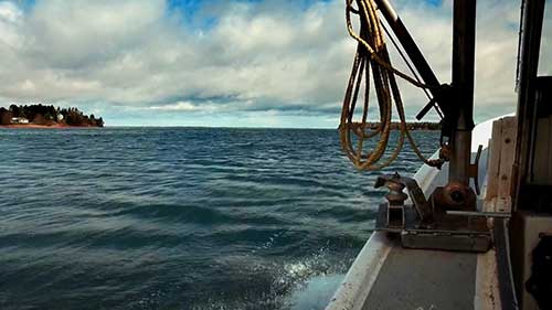 大西洋贻贝水产农场