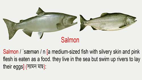 几种重要的淡水鱼