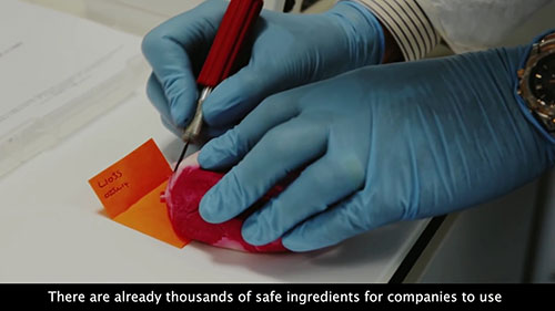 化妆品动物实验的真相