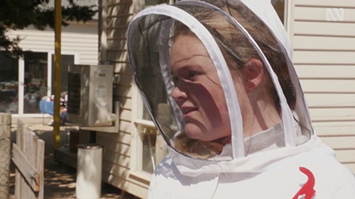 澳洲新兴养蜂人