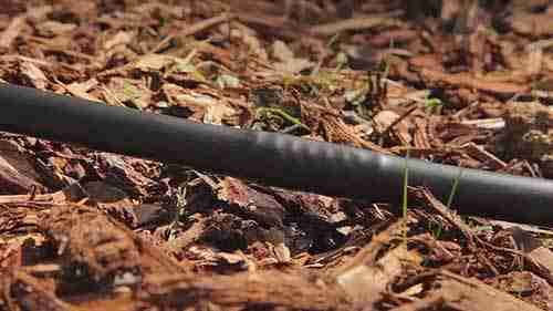 液体肥料与灌溉系统