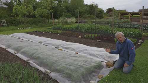 减少病虫对蔬菜的危害