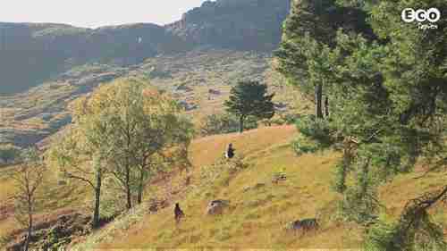 什么是国家自然保护区