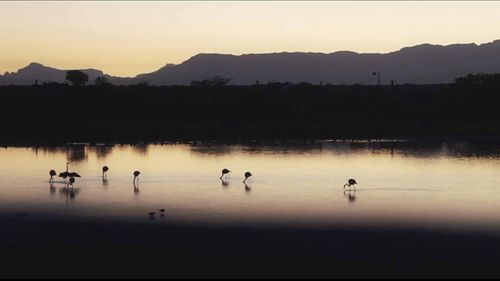 科因纳斯自然保护区