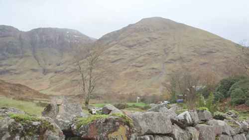 苏格兰土地保护企业