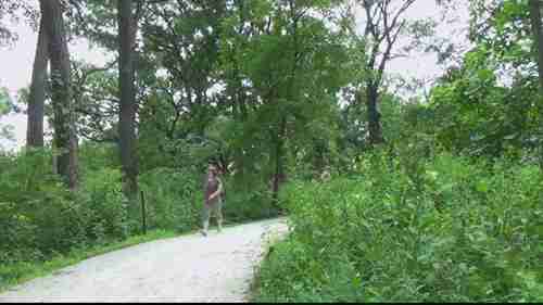 preserve, conservation和reserve都是保护区吗