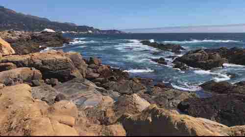 罗伯斯角自然保护区 3