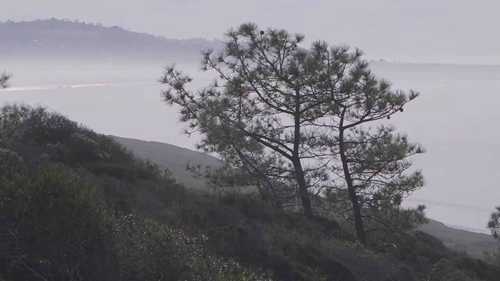 托里松州立自然保护区 2