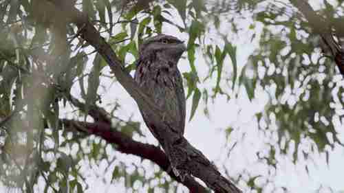 西澳的五个国家公园