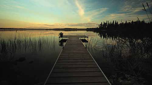 保护北方森林的平衡和发展