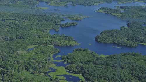 保护亚马逊森林