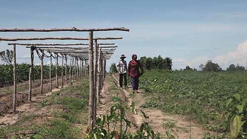 野生动物联盟的作用