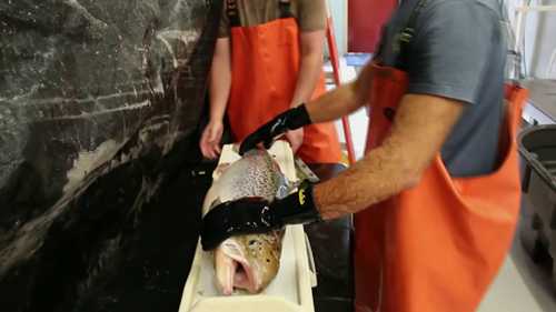 设施水产养殖系统概论