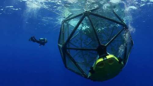 夏威夷的新型海水养殖