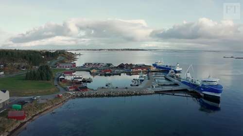 海藻，未来的可持续作物