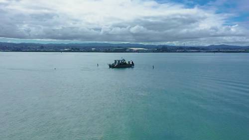 洪堡湾的海藻养殖场