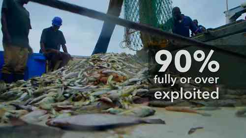 科学有效发展水产养殖