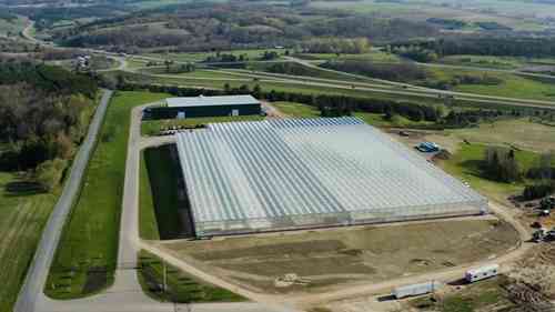 农业的未来，鱼菜共生