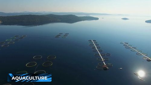 丹麦水利研究所的水产养殖项目