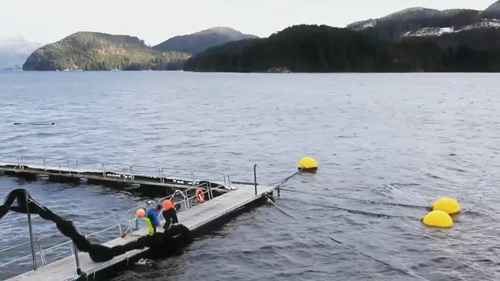 未来的鲑鱼养殖场