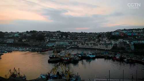 可持续养殖贻贝