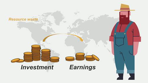 肉鸡养殖的成本
